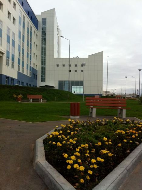 Перинатальный центр