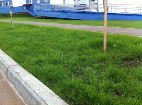 Перинатальный центр